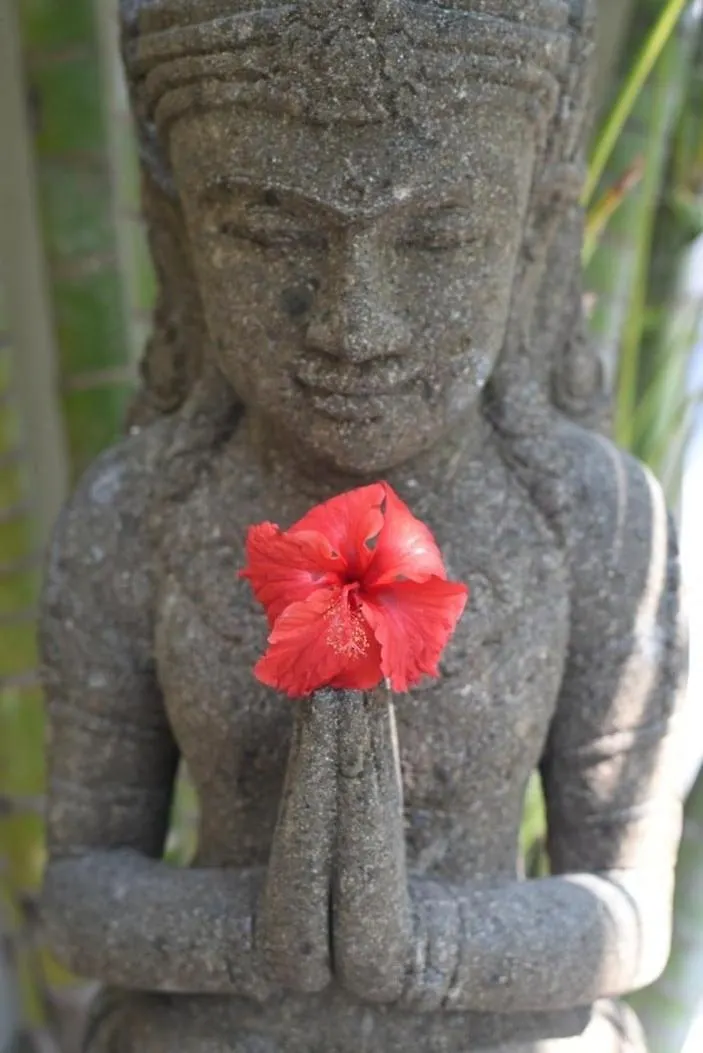 2Br Villa Central Seminyak,50 M Walk To The Beach  Seminyak (Bali)